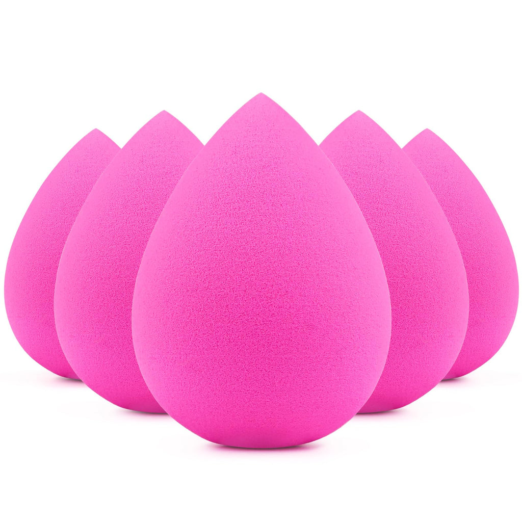 BEAKEY Makeup Sponge Set 5 Pack Micro Porous Low Absorption Soft Latex Free Foundation Beauty Sponges & Blenders for Powder Cream