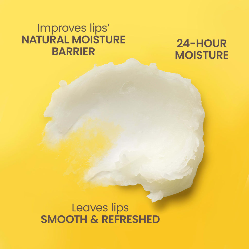 Burt's Bees Lip Balm, Beeswax, Strawberry, Coconut and Pear, and Vanilla Bean Pack, With Responsibly Sourced Beeswax, Tint-Free, Natural Lip Treatment, 4 Tubes, 0.15 oz.